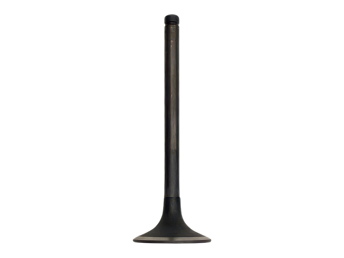 Inlet Valve