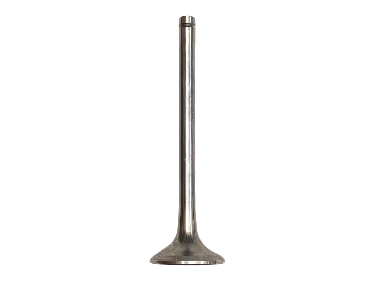 Exhaust Valve