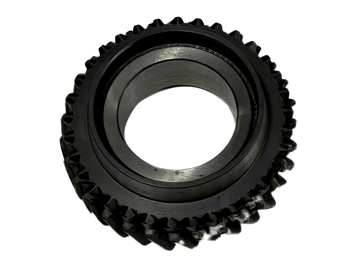 Gear Z = 31