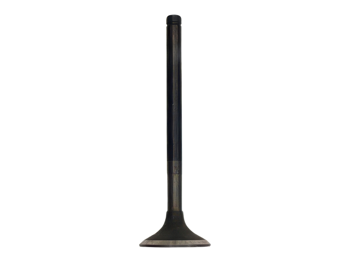 Exhaust Valve