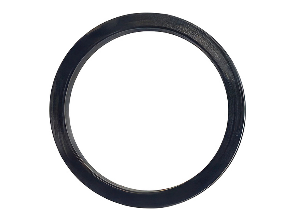 Ram Piston Seal