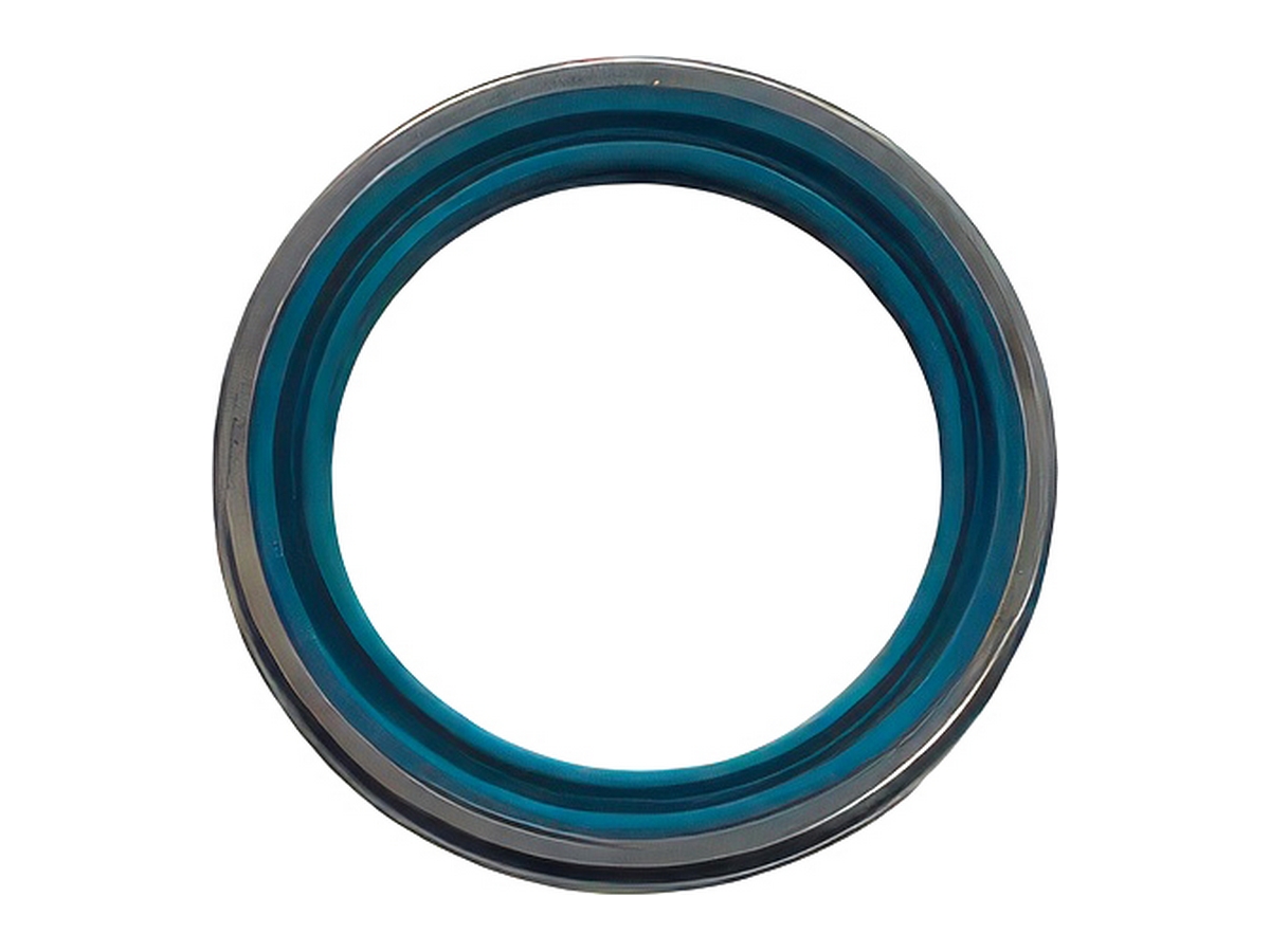 Special Oil Seal