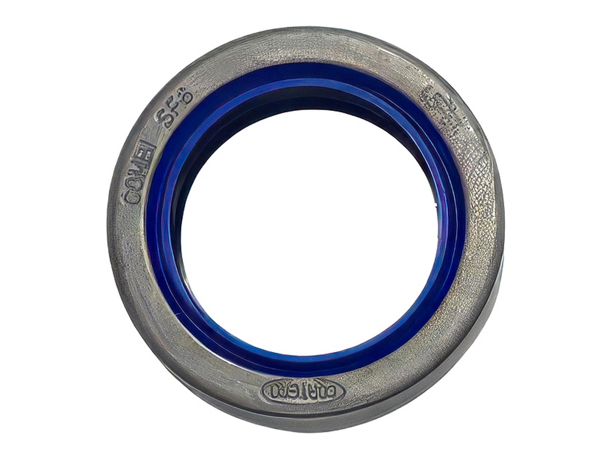 Oil Seal
