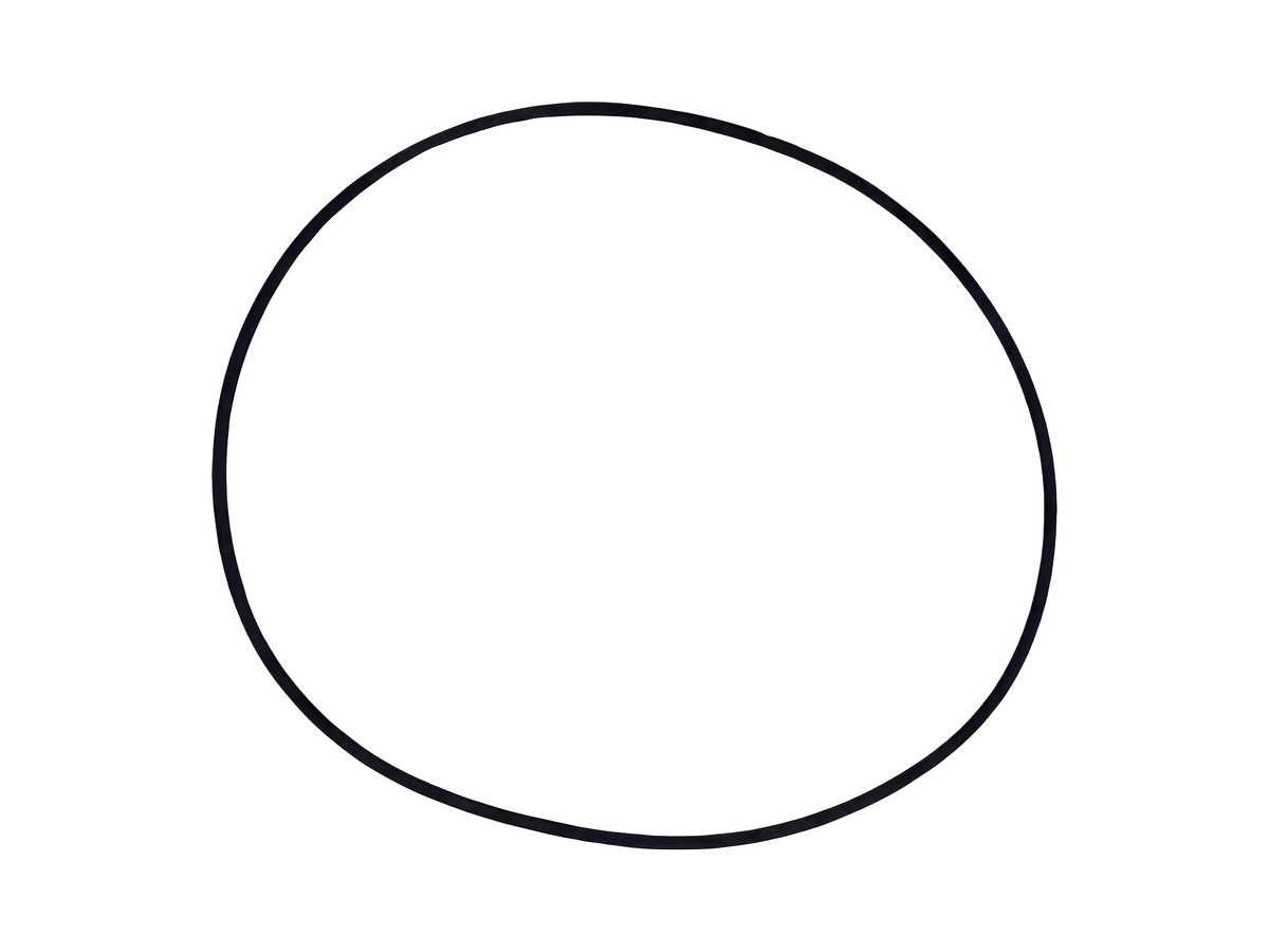 Oil Seal