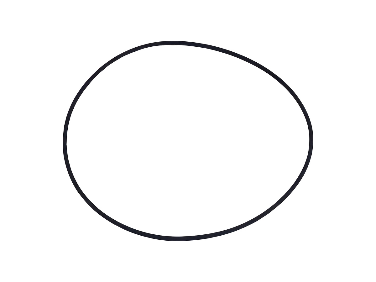Oil Seal