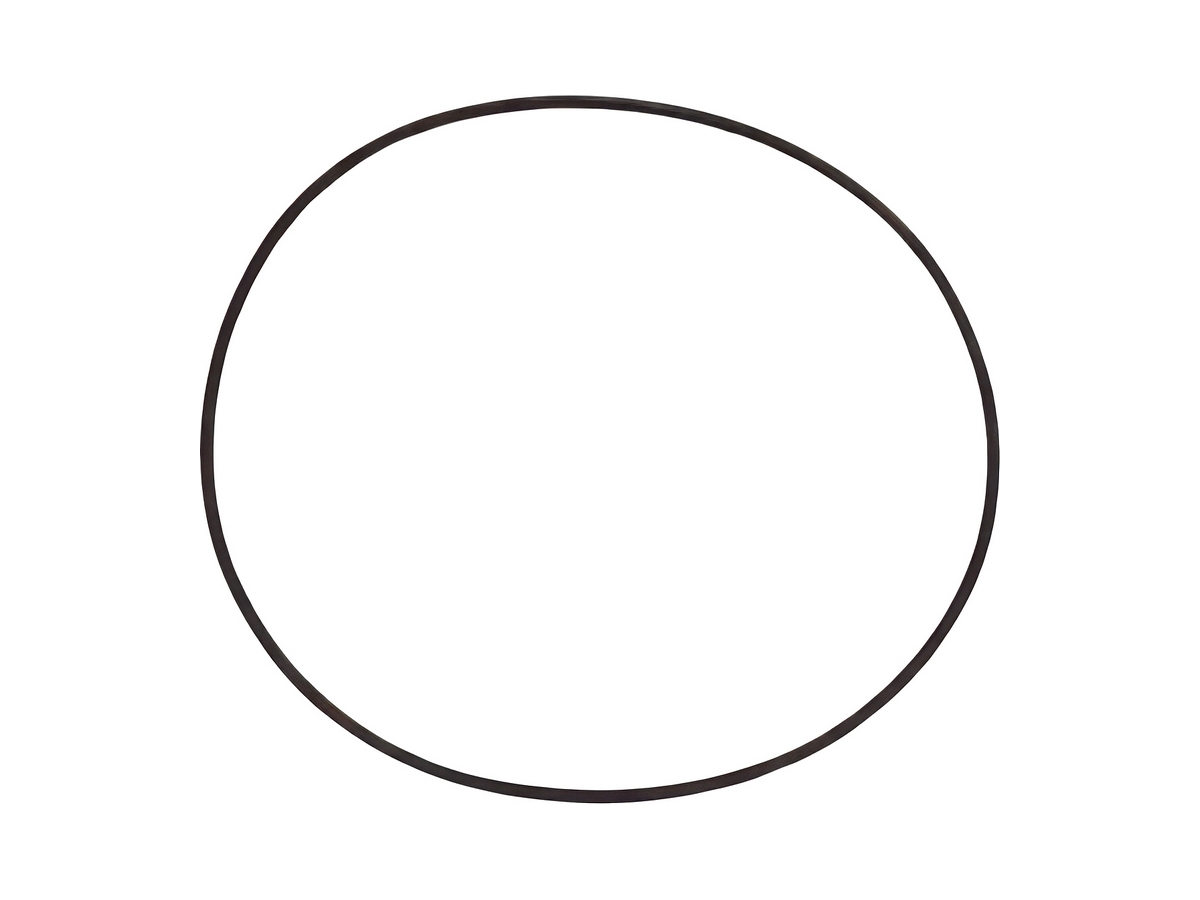 Oil Seal