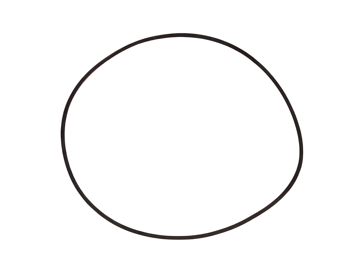 Special Oil Seal