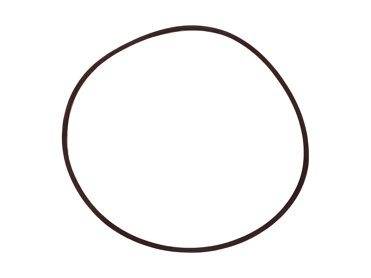 Special Oil Seal