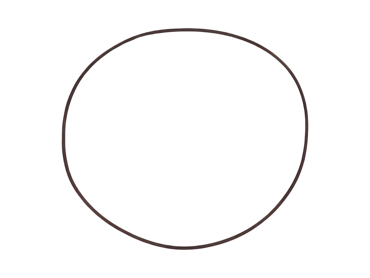 Special Oil Seal