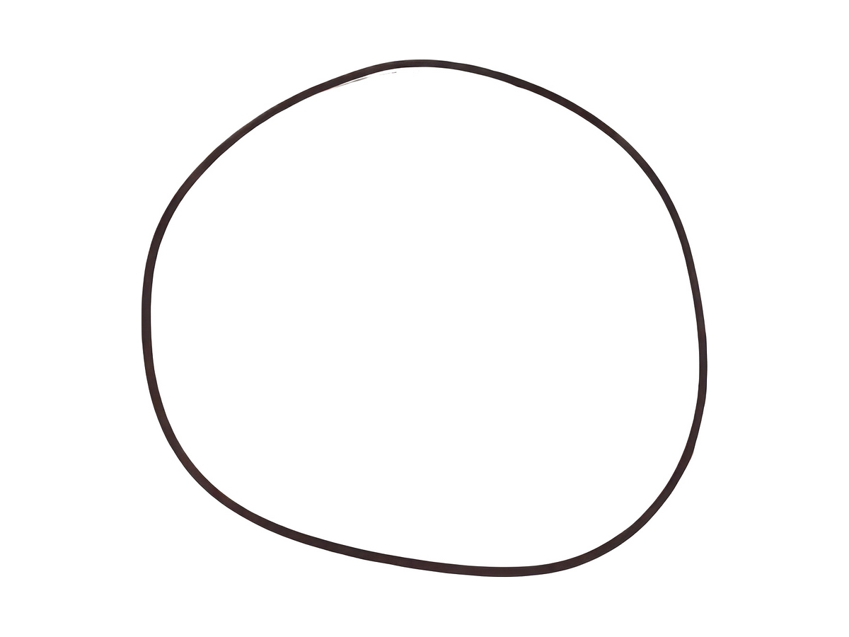Special Oil Seal